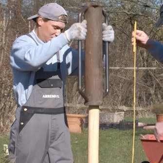 hegn pileflet hegn pileflet